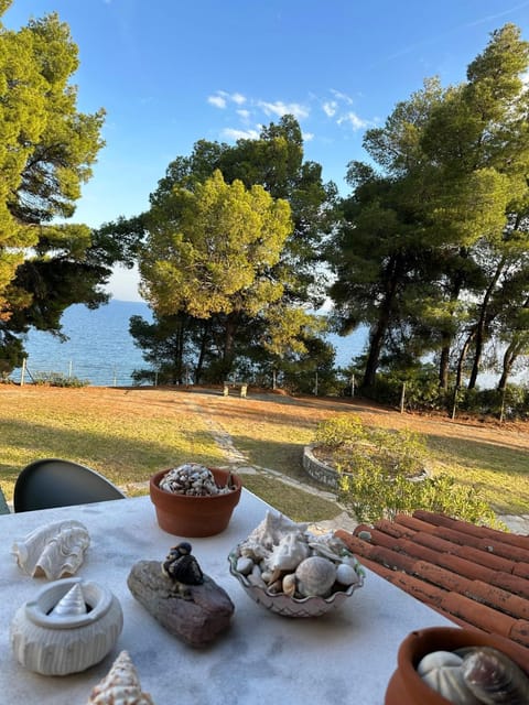 Squirrels, Home with View Eigentumswohnung in Halkidiki