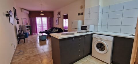 Kitchen or kitchenette, Photo of the whole room, washing machine