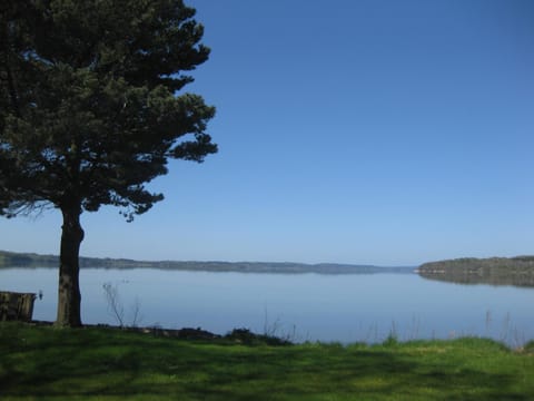 Garden, Beach, Lake view
