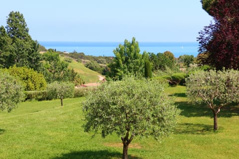 Garden, Sea view