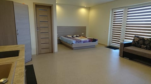 Aringos Rezidencija Apartment in Palanga