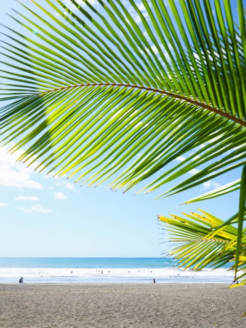 Day, Beach, Sea view