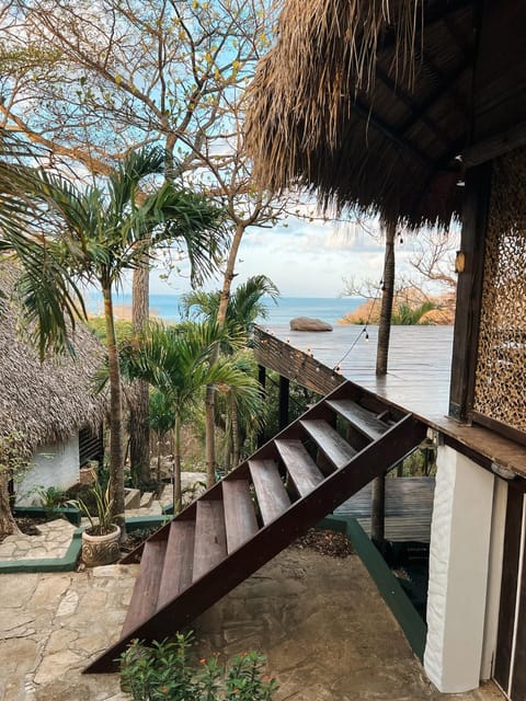 Natural landscape, View (from property/room), Balcony/Terrace