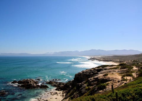 Sea Star Cliff Capanno nella natura in Western Cape