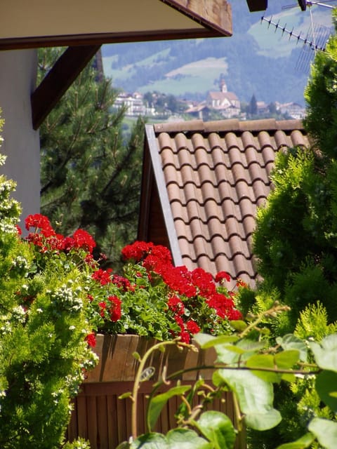 Grieserhof Algund Eigentumswohnung in Algund