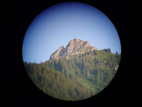 Gästehaus Hausberger Apartment in Vorarlberg, Austria