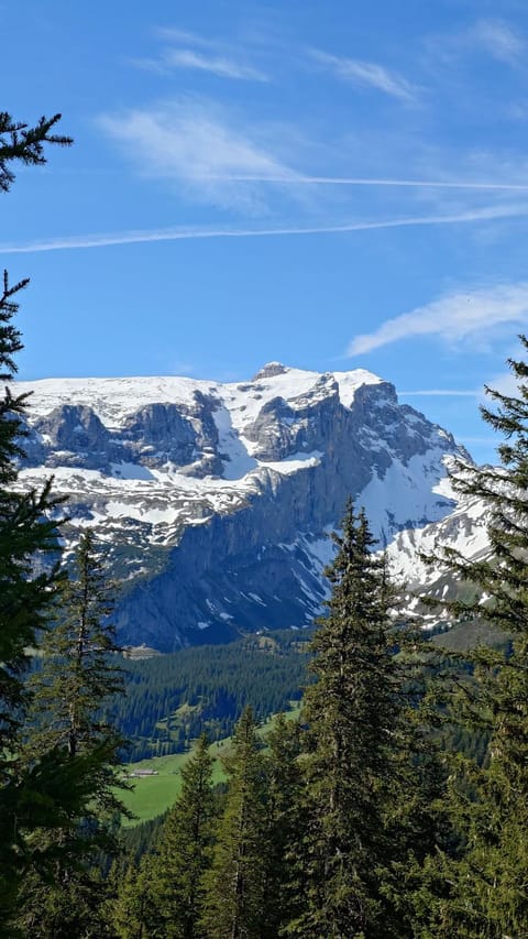 Gästehaus Hausberger Apartment in Vorarlberg, Austria