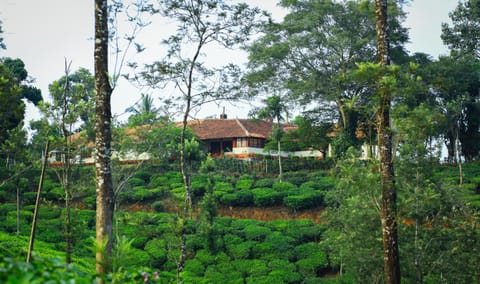 Tea tours Ripon Heritage Bungalow Resort in Kerala