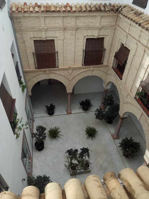 Charming Villadarias M. Palace apartment Apartamento in Antequera