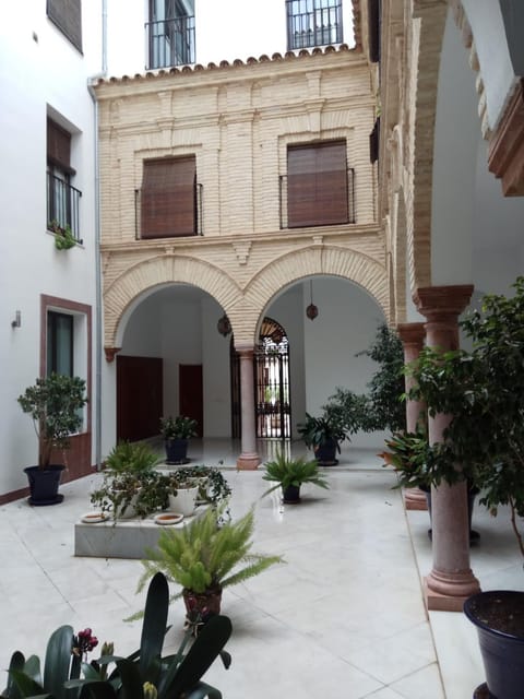 Charming Villadarias M. Palace apartment Apartamento in Antequera