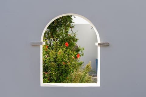 Off site, Summer, Garden, Decorative detail