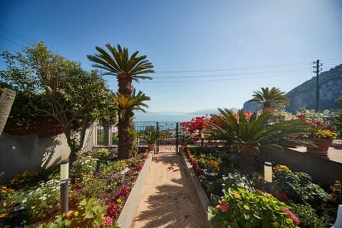 Garden, Garden, Garden view, Sea view