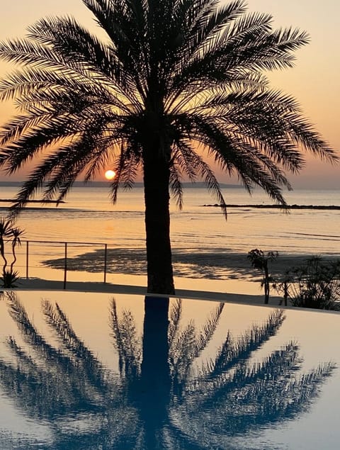 Beach, Pool view, Sea view, Swimming pool, Sunrise