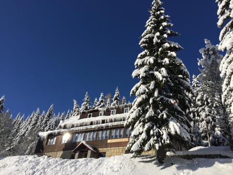 Property building, Natural landscape, Winter, Mountain view