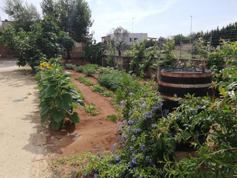 Facade/entrance, Garden view