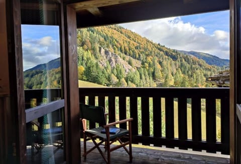 Albergo Diffuso Sauris in Sauris Di Sopra Apartment in Friuli-Venezia Giulia