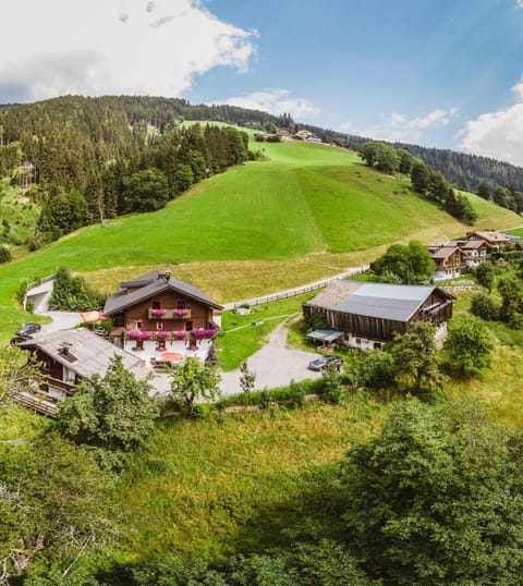 Appartement Schmiedhof Apartment in Zell am See