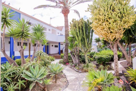 Casa Rachele Condo in Corralejo