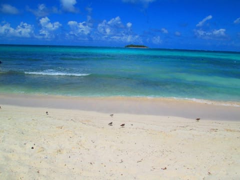 View (from property/room), Beach