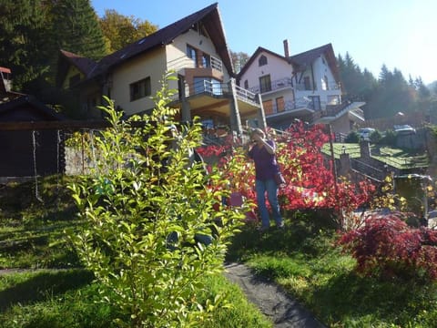 Inner courtyard view