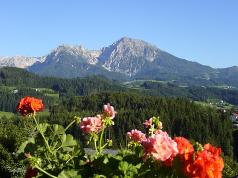 Balcony/Terrace, Mountain view, Mountain view