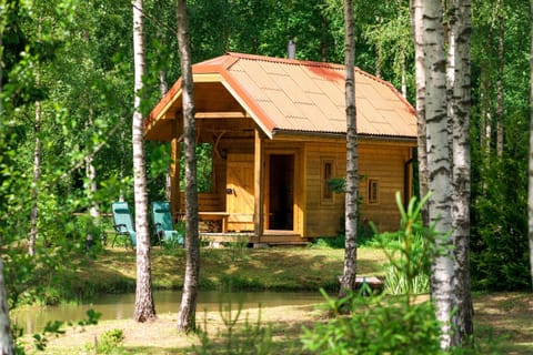 Sauna, sunbed