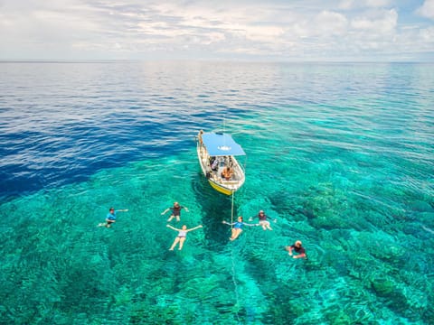 Nearby landmark, Natural landscape, Snorkeling, Diving