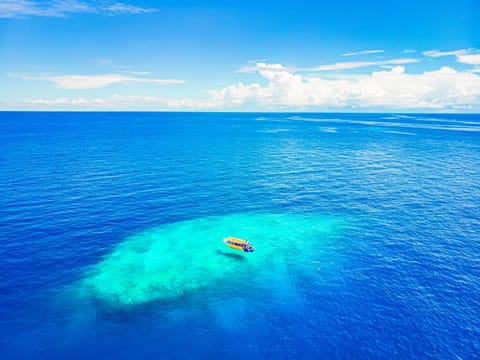 Natural landscape, Bird's eye view, Snorkeling, Diving, Sea view