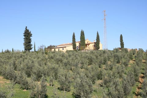 Donzellino Farm Stay in Massa Marittima