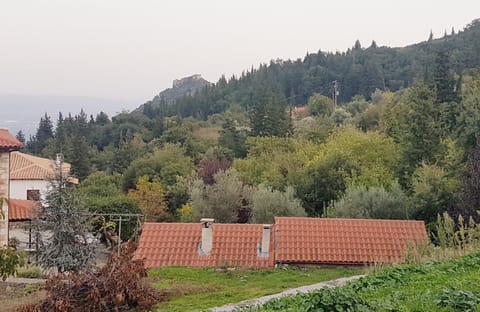 Luxury House In The Hills Country House in Messenia