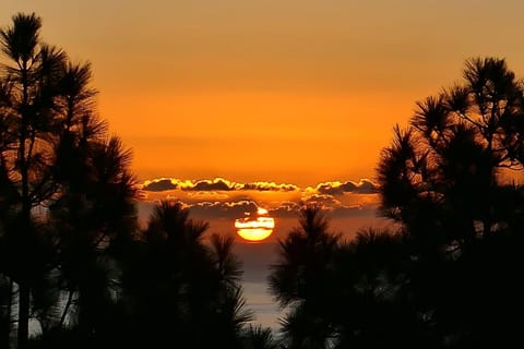 View (from property/room), View (from property/room), Sea view, Sea view