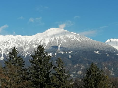 Winter, View (from property/room)