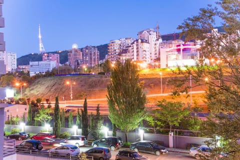 Spring, Off site, Night, Neighbourhood, Natural landscape, View (from property/room), On site, City view, Mountain view, River view, Street view, Inner courtyard view