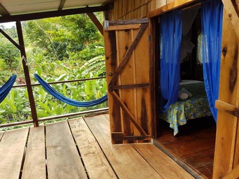 Hibiscus Valley Inn Gasthof in Dominica