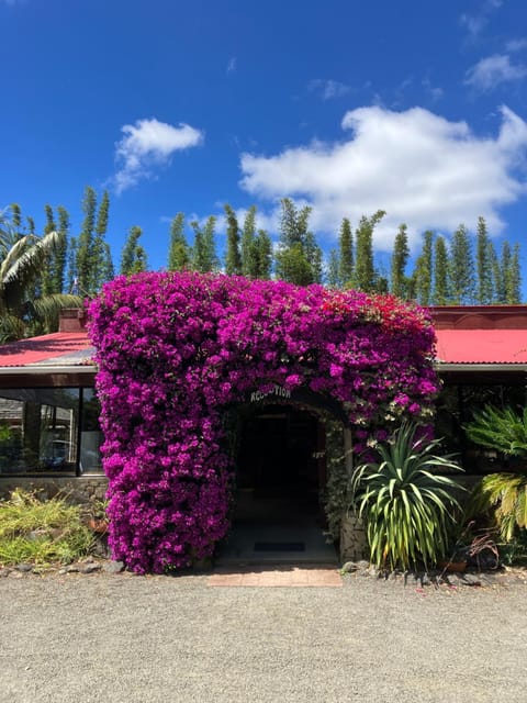 Spring, Lobby or reception