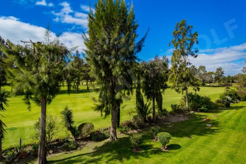 Patio, Garden, Garden view