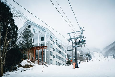 Property building, Neighbourhood, Winter