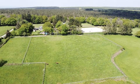 Le Cottage de la Doucette Country House in Paimpont