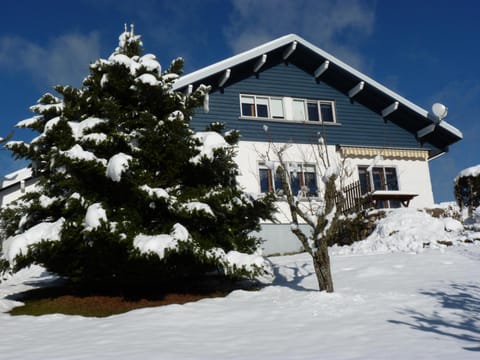 Winter, Garden view