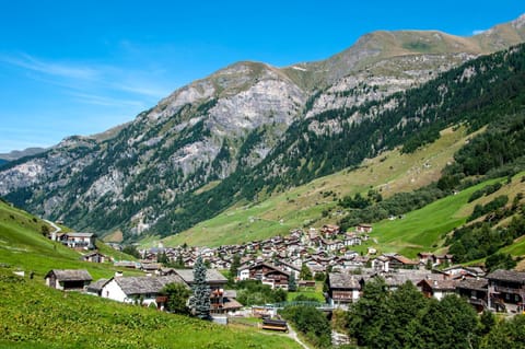 Gasthaus Edelweiss Übernachtung mit Frühstück in Vals