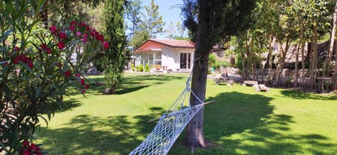 Property building, Garden, Garden view