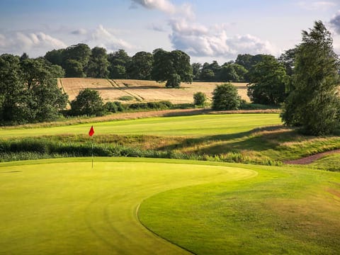 Day, Natural landscape, Golfcourse