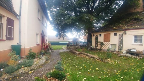 Patio, Garden, Autumn, Street view