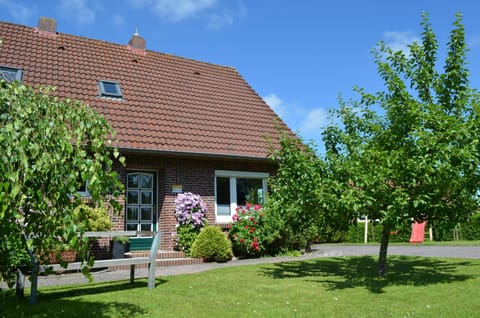 Property building, Garden, Garden view