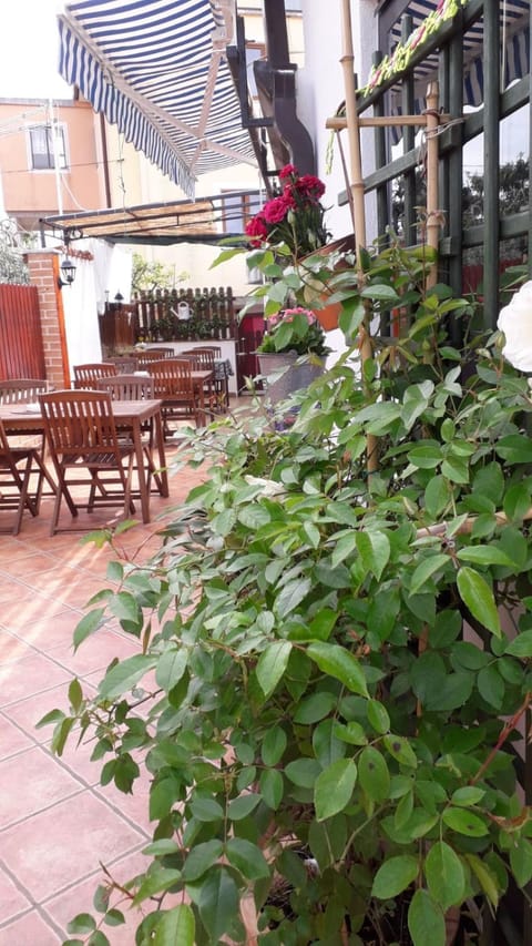 Property building, Garden view