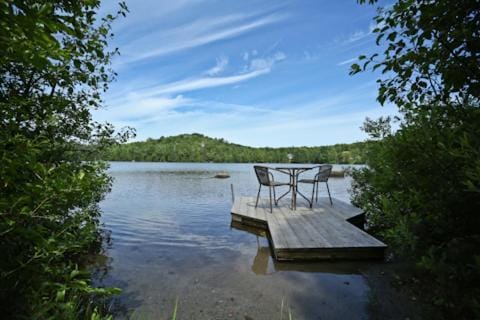 Domaine Ste-Flore Chalet in Shawinigan