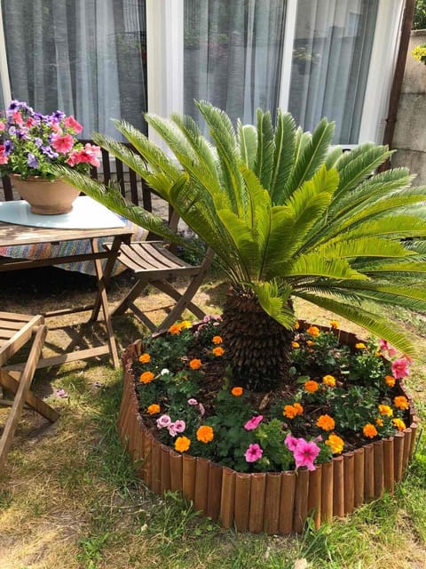 Day, Garden, Garden view