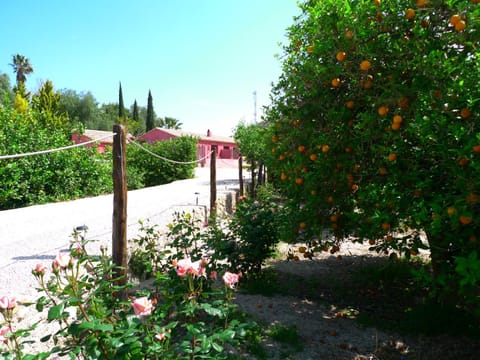 Garden, Area and facilities