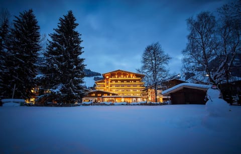 Property building, Winter, Garden, Garden view