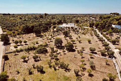 Masseria Fenicia Bed and Breakfast in Apulia